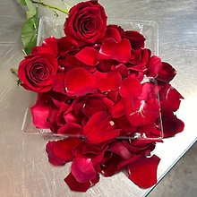 Rose Petals